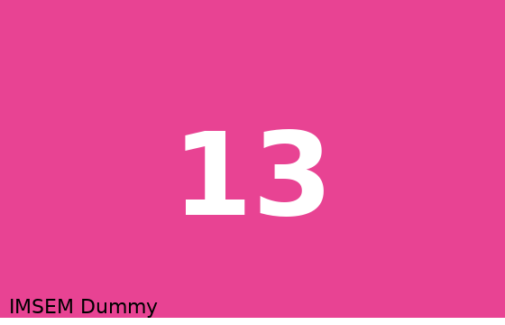 Dummy card 13