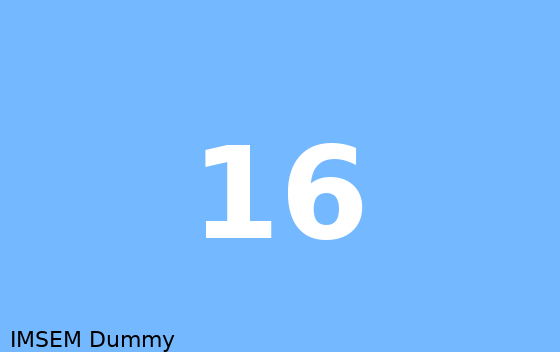 Dummy card 16