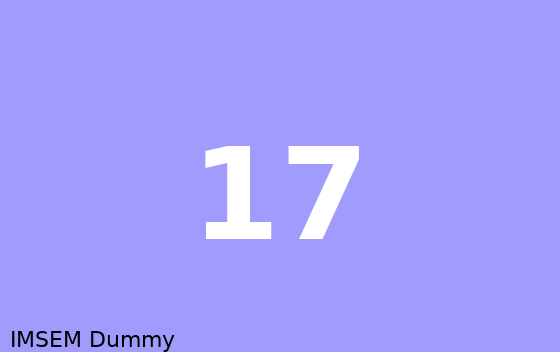 Dummy card 17