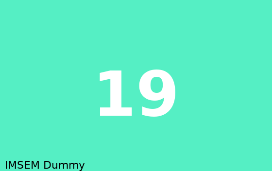 Dummy card 19