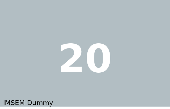 Dummy card 20
